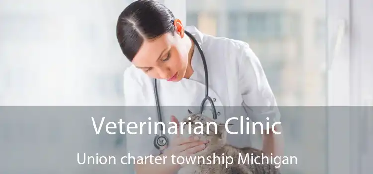 Veterinarian Clinic Union charter township Michigan