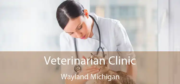 Veterinarian Clinic Wayland Michigan