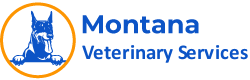 best pet vet specialist in Coldwater city